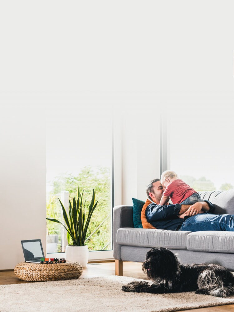 what is the difference between home title lock and lifelock