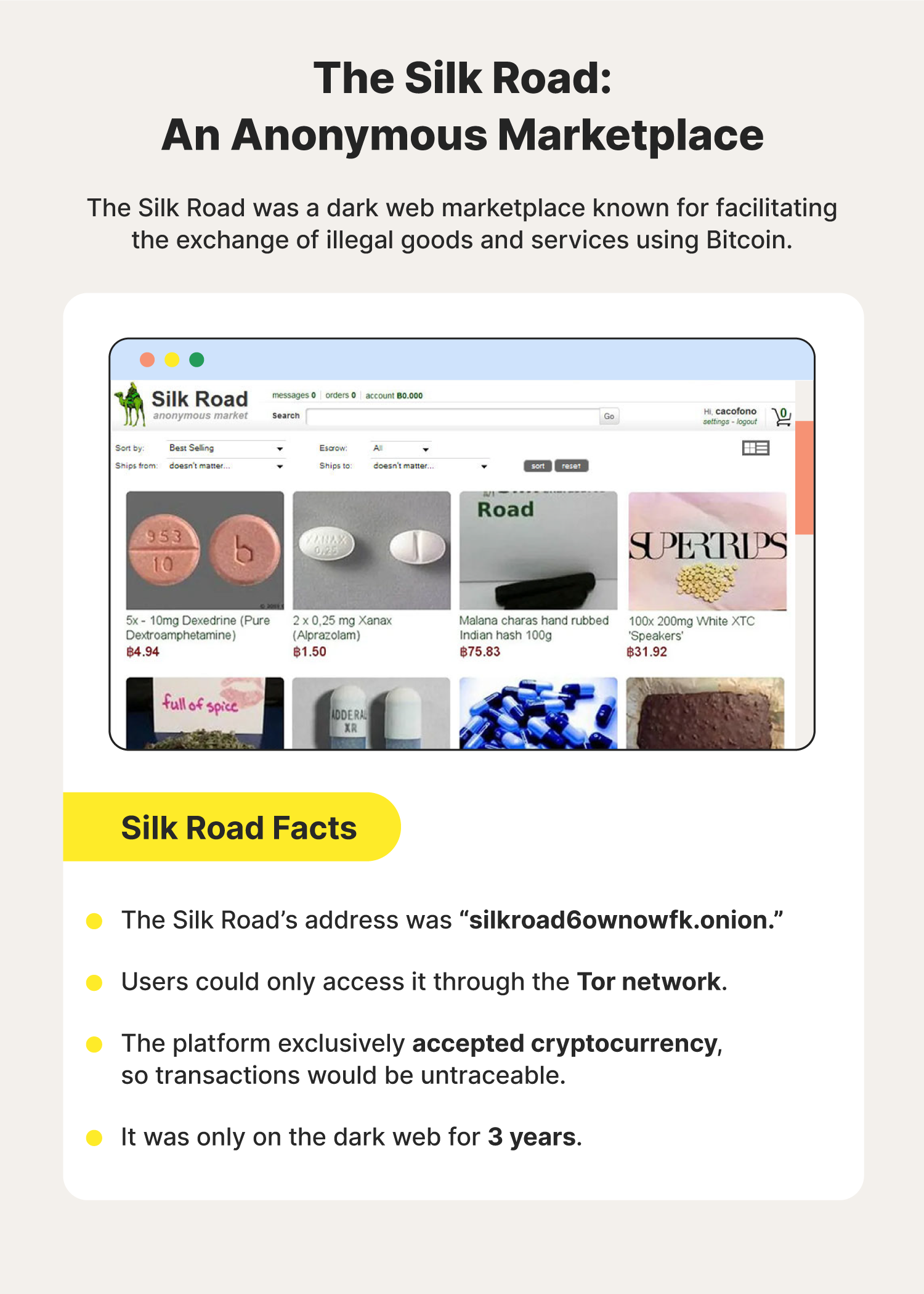 An infographic displaying facts about the digital Silk Road.