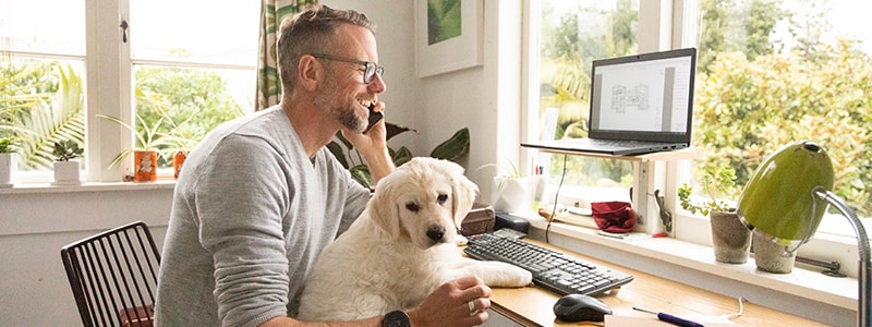 Man with a dog talks on the phone with a scammer. 