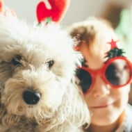 A fluffy white dog wearing red reindeer antlers looks into the camera while a little boy with red sunglasses hugs him.